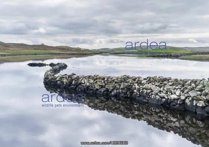 : Landscape on West Shetland. Shetland, Northern : Landscape on West Shetland. Shetland, Northern