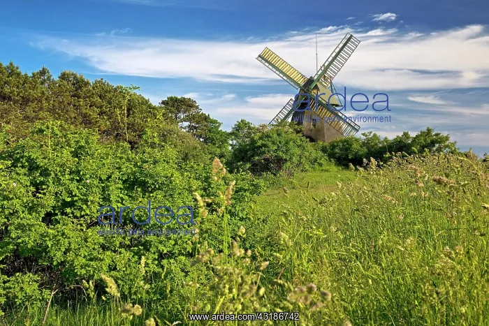 : Landscape with windmill of the construction type : Landscape with windmill of the construction type