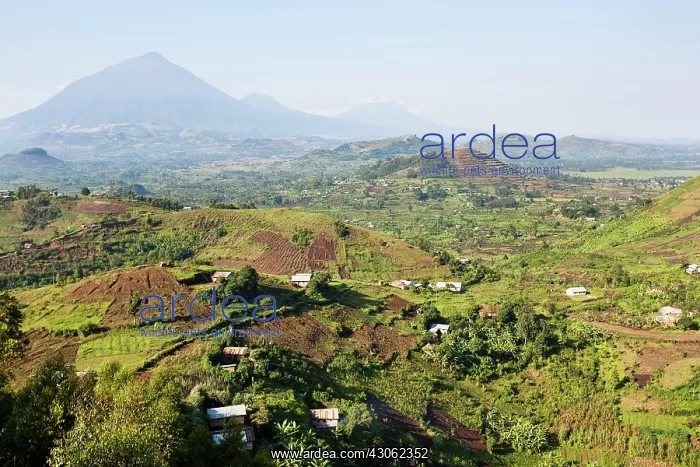 : Landscapes around Kisoro, Kigezi. This area : Landscapes around Kisoro, Kigezi. This area