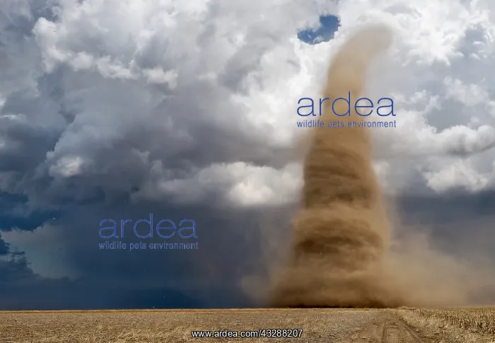 : A landspout tornado grinds across western Kansas : A landspout tornado grinds across western Kansas