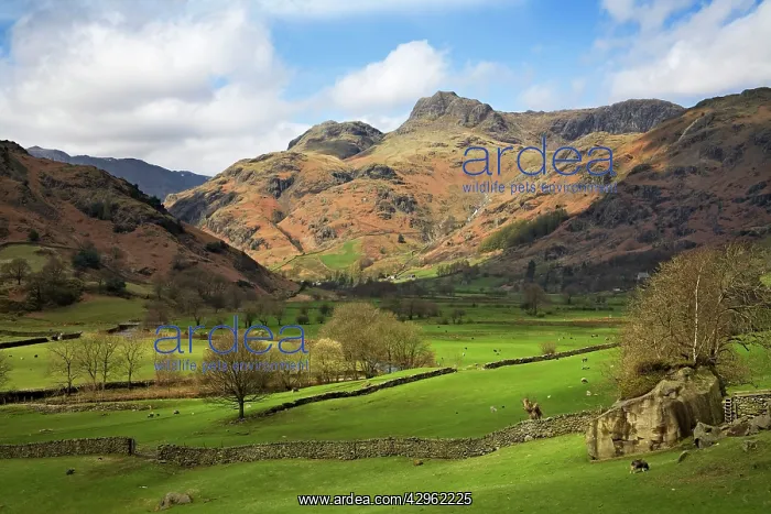 : Langdale Pikes in autumn sunshine : Langdale Pikes in autumn sunshine