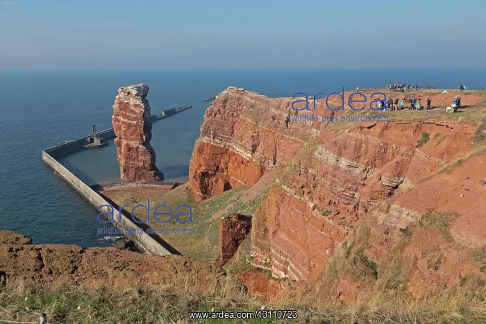 : Lange Anna and Lummenfelsen, Helgoland, Schleswig-Holstein : Lange Anna and Lummenfelsen, Helgoland, Schleswig-Holstein