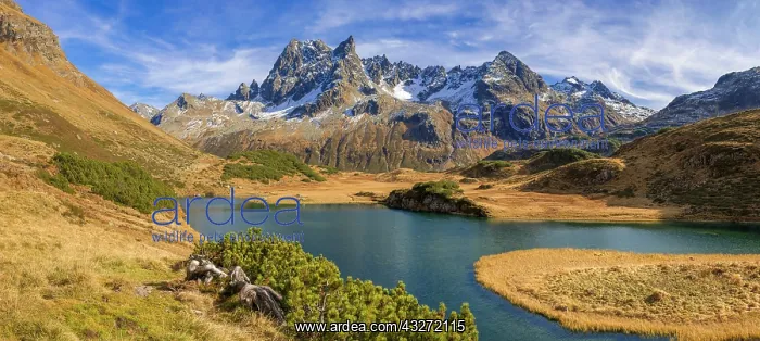 : Langersee am Silbertaler Winterj&, x18e8;le, im Hintergrund : Langersee am Silbertaler Winterj&, x18e8;le, im Hintergrund