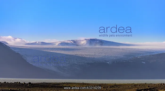 : Langjnkull and Hvitarvatn, Kjalvegur (F35), SuEurland : Langjnkull and Hvitarvatn, Kjalvegur (F35), SuEurland