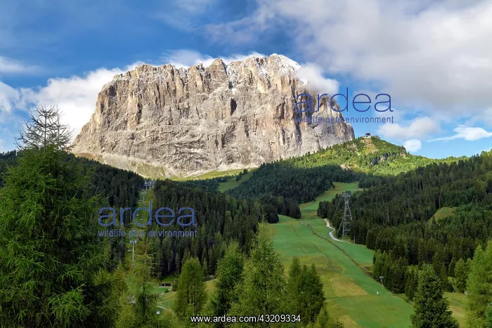 : langkofel, sassolungo, saslonch : langkofel, sassolungo, saslonch