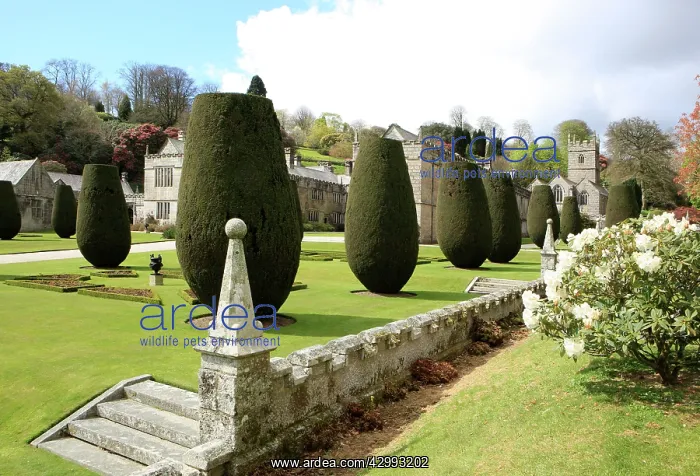: Lanhydrock Country House Gardens : Lanhydrock Country House Gardens