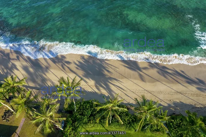  : Laniakea Beach, North Shore, Oahu, Hawaii