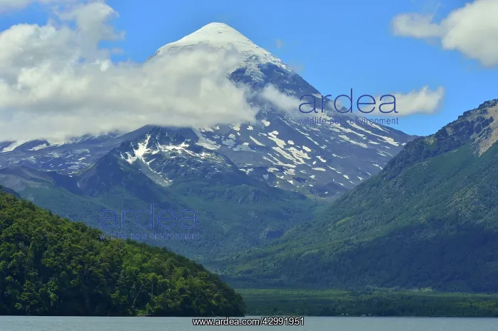 : Lanin Vulcan : Lanin Vulcan