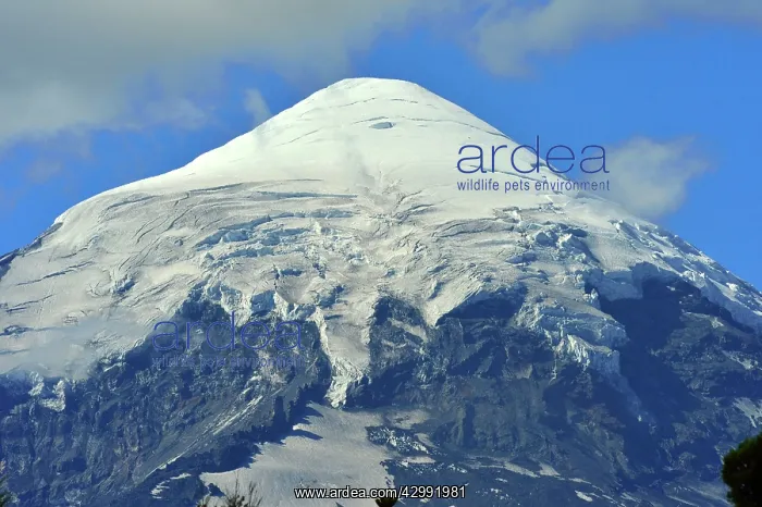 : Lanin Vulcan : Lanin Vulcan