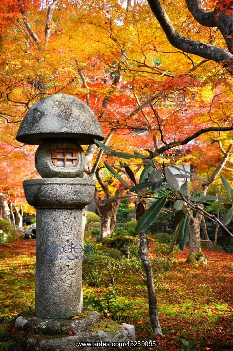 : Lantern at Enkoji Temple in Ky&, x134bec; Japan : Lantern at Enkoji Temple in Ky&, x134bec; Japan