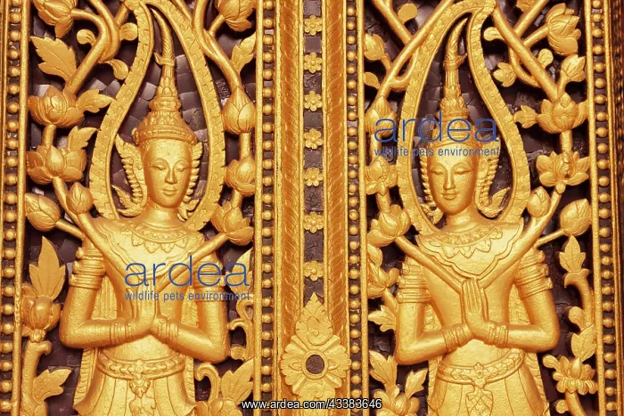  : Laos, Luang Prabang. Golden relief carvings