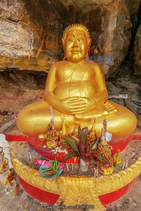 : Laos, Luang Prabang. Vat Thammo Thayaram on Mount : Laos, Luang Prabang. Vat Thammo Thayaram on Mount