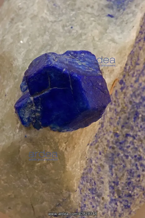 : Lapis Lazuli : Lapis Lazuli