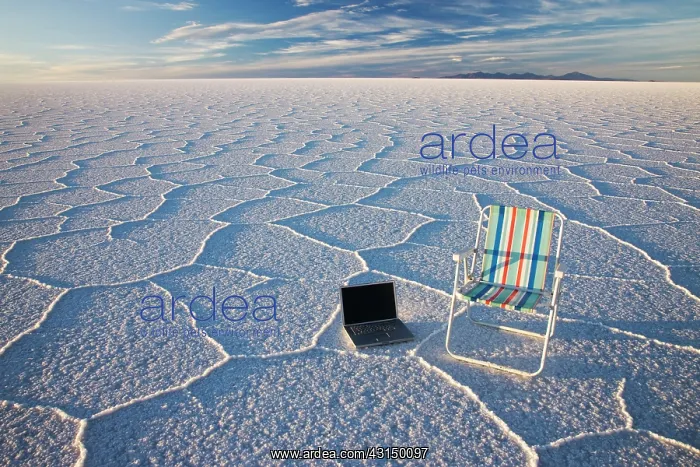 : Laptop computer and beach chair standing in salt pan : Laptop computer and beach chair standing in salt pan