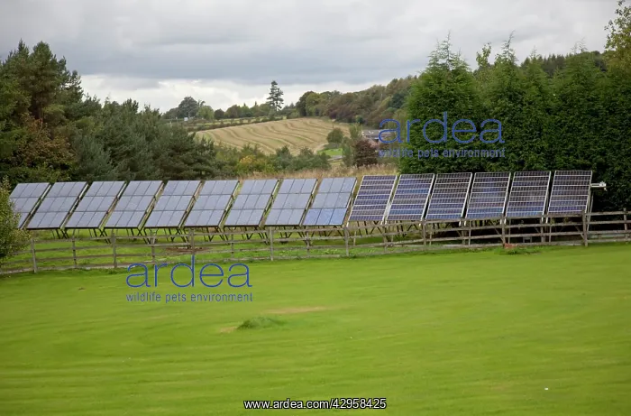 : Large array solar PV panels on metal frame in field : Large array solar PV panels on metal frame in field