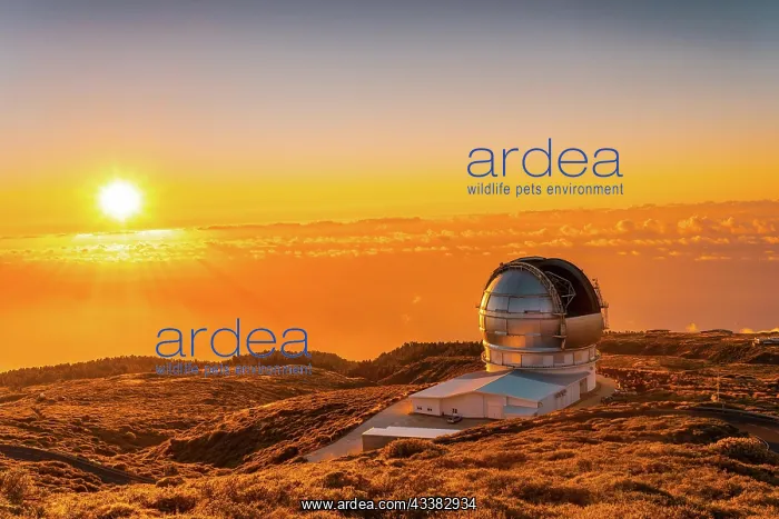: Large Canary Telescope called Grantecan optico d : Large Canary Telescope called Grantecan optico d
