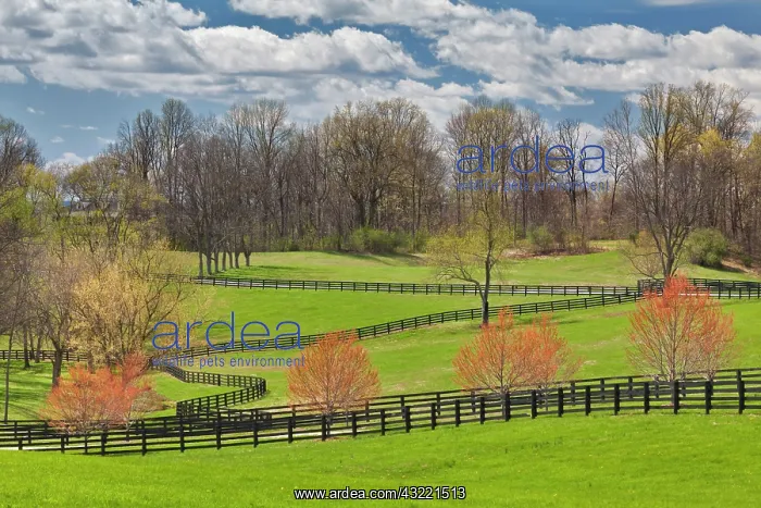 : Large field and fence line in Louisville : Large field and fence line in Louisville