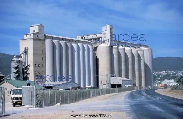: Large grain silos for wheat storage : Large grain silos for wheat storage