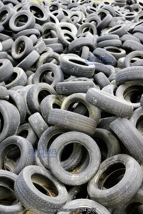 : Large pile of old used car tyres : Large pile of old used car tyres