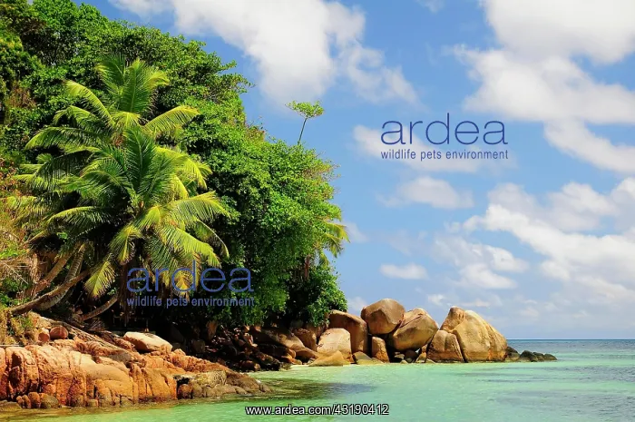 : Large rocks on Anse Latio beach, Praslin Island : Large rocks on Anse Latio beach, Praslin Island