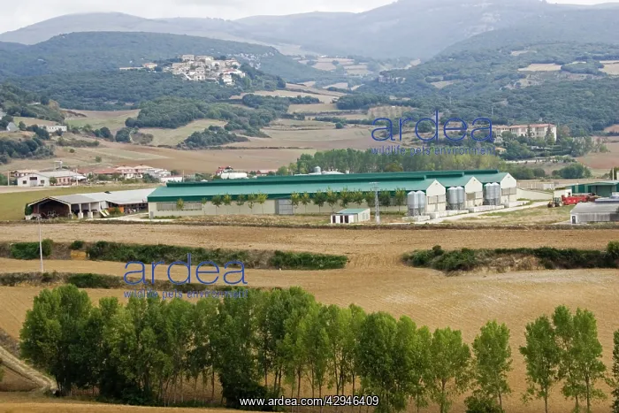 : Large scale battery chicken farming : Large scale battery chicken farming