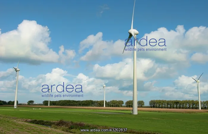 : Large wind mills generating energy in farmland : Large wind mills generating energy in farmland