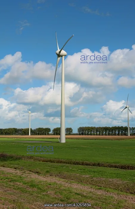 : Large wind mills generating energy in farmland : Large wind mills generating energy in farmland