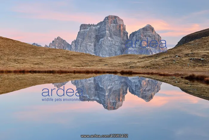 : Larghetto di Baste, Autumn in the Dolomites, Monte : Larghetto di Baste, Autumn in the Dolomites, Monte