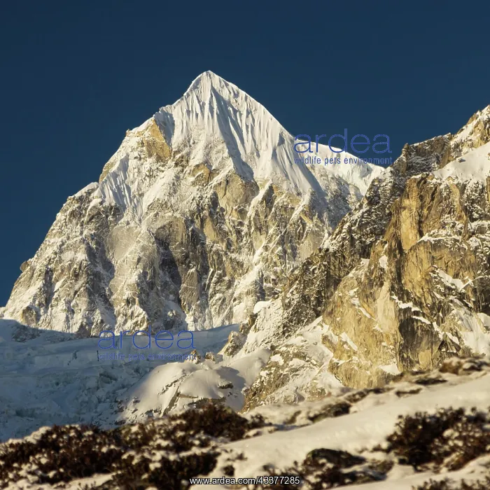 : Larkya Peak, 6416 m, viewed at sunrise on a clear : Larkya Peak, 6416 m, viewed at sunrise on a clear