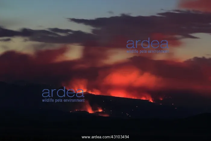 : Las Conchas Wildfire : Las Conchas Wildfire