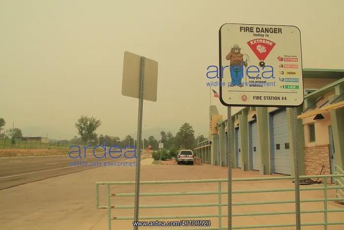 : Las Conchas Wildfire : Las Conchas Wildfire