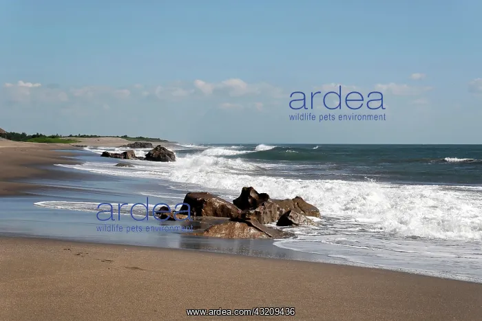 : Las Penitas, beach at Poneloya, Leon, Nicaragua : Las Penitas, beach at Poneloya, Leon, Nicaragua