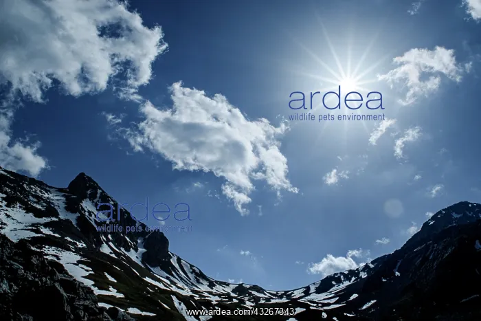 : Las UbiA+ / -as Natural Park, Asturias, Spain : Las UbiA+ / -as Natural Park, Asturias, Spain