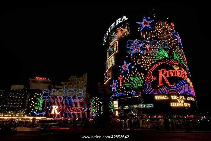 : Las Vegas Strip - colourful lights at The Strip at night : Las Vegas Strip - colourful lights at The Strip at night