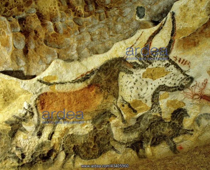  : Lascaux cave painting Period: Paleolithic, c.18, 000