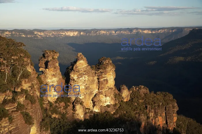 : Late Afternoon Light on The Three Sisters : Late Afternoon Light on The Three Sisters