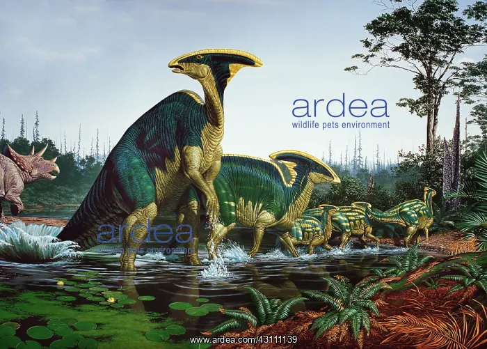 : Late Cretaceous dinosaurs : Late Cretaceous dinosaurs
