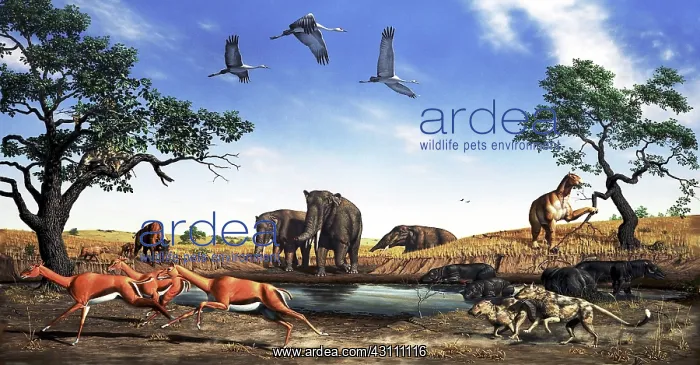 : Late tertiary landscape : Late tertiary landscape
