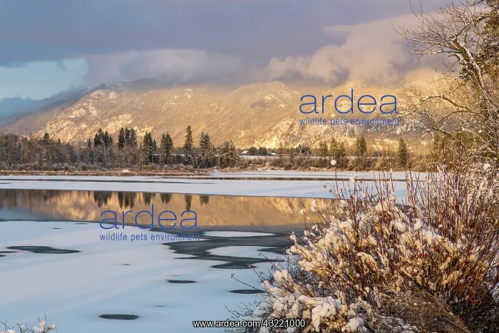 : Late winter light on McWenneger Slough with : Late winter light on McWenneger Slough with