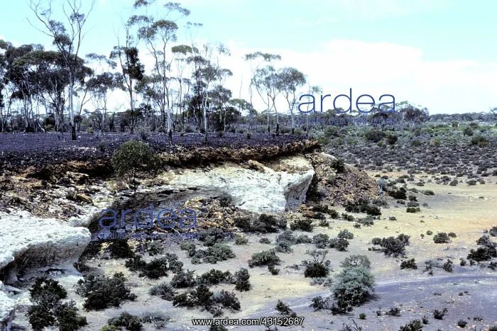 : Laterite breakaway, West Australia : Laterite breakaway, West Australia