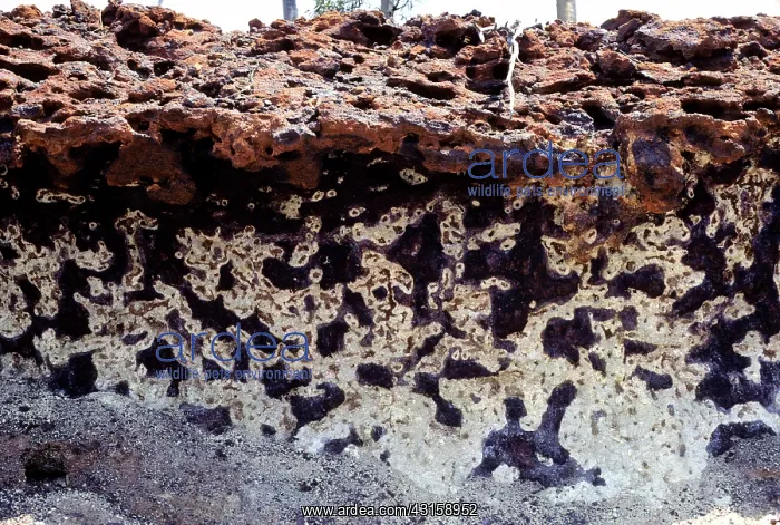 : Laterite breakaway, West Australia : Laterite breakaway, West Australia