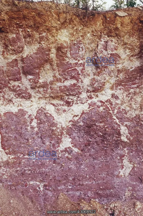 : Laterite Soil Profile : Laterite Soil Profile