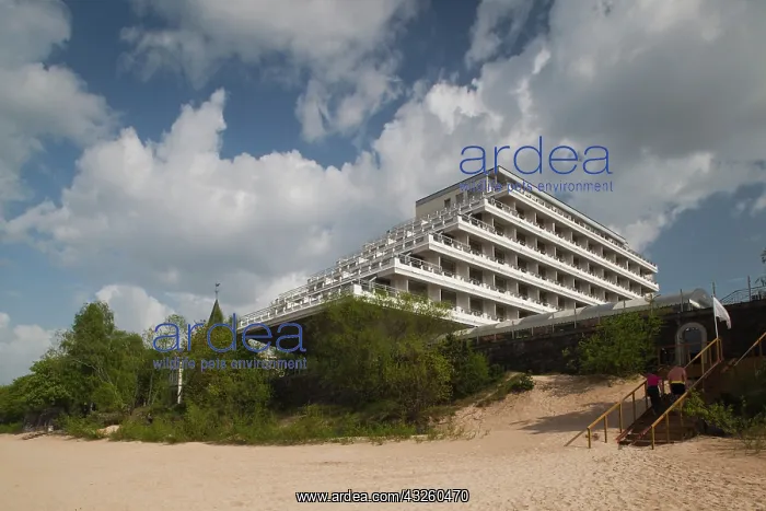 : Latvia, Jurmala, Majori Village, Baltic : Latvia, Jurmala, Majori Village, Baltic