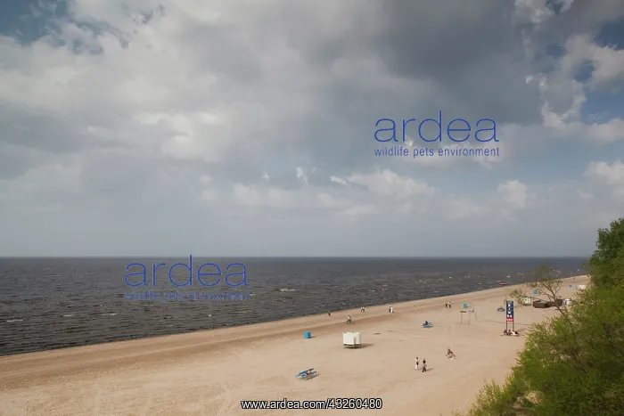 : Latvia, Jurmala, Majori Village, Majori : Latvia, Jurmala, Majori Village, Majori