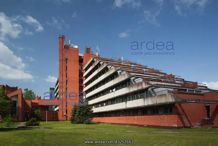 : Latvia, Jurmala, Vaivari Village, Vaivari : Latvia, Jurmala, Vaivari Village, Vaivari