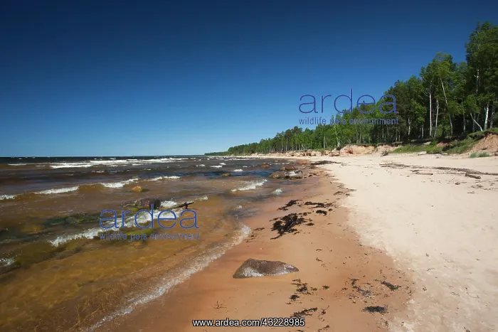 : Latvia, Northeastern Latvia, Vidzeme Coast : Latvia, Northeastern Latvia, Vidzeme Coast