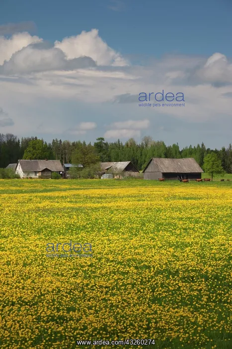  : Latvia, Northeastern Latvia, Vidzeme Region