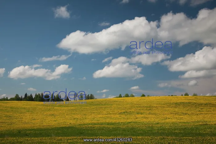 : Latvia, Northeastern Latvia, Vidzeme Region : Latvia, Northeastern Latvia, Vidzeme Region
