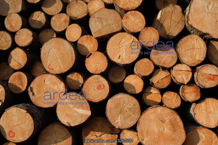 : Latvia, Northeastern Latvia, Vidzeme Region : Latvia, Northeastern Latvia, Vidzeme Region