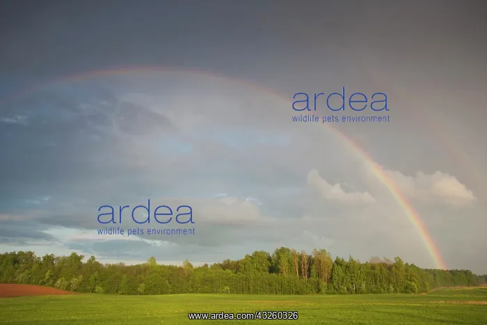 : Latvia, Northeastern Latvia, Vidzeme Region : Latvia, Northeastern Latvia, Vidzeme Region